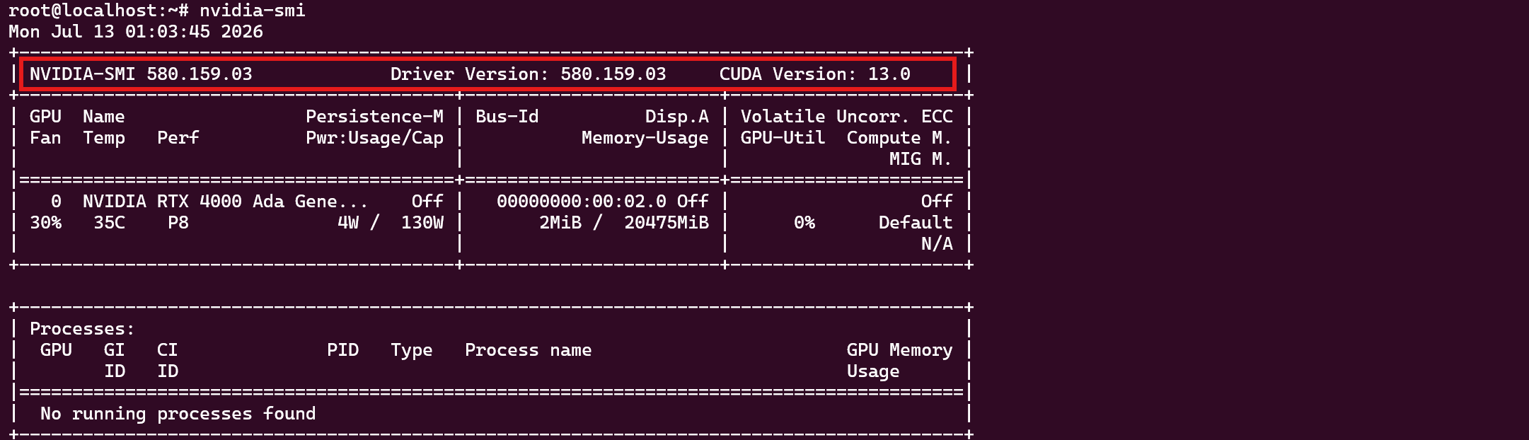 Verificación del driver NVIDIA
