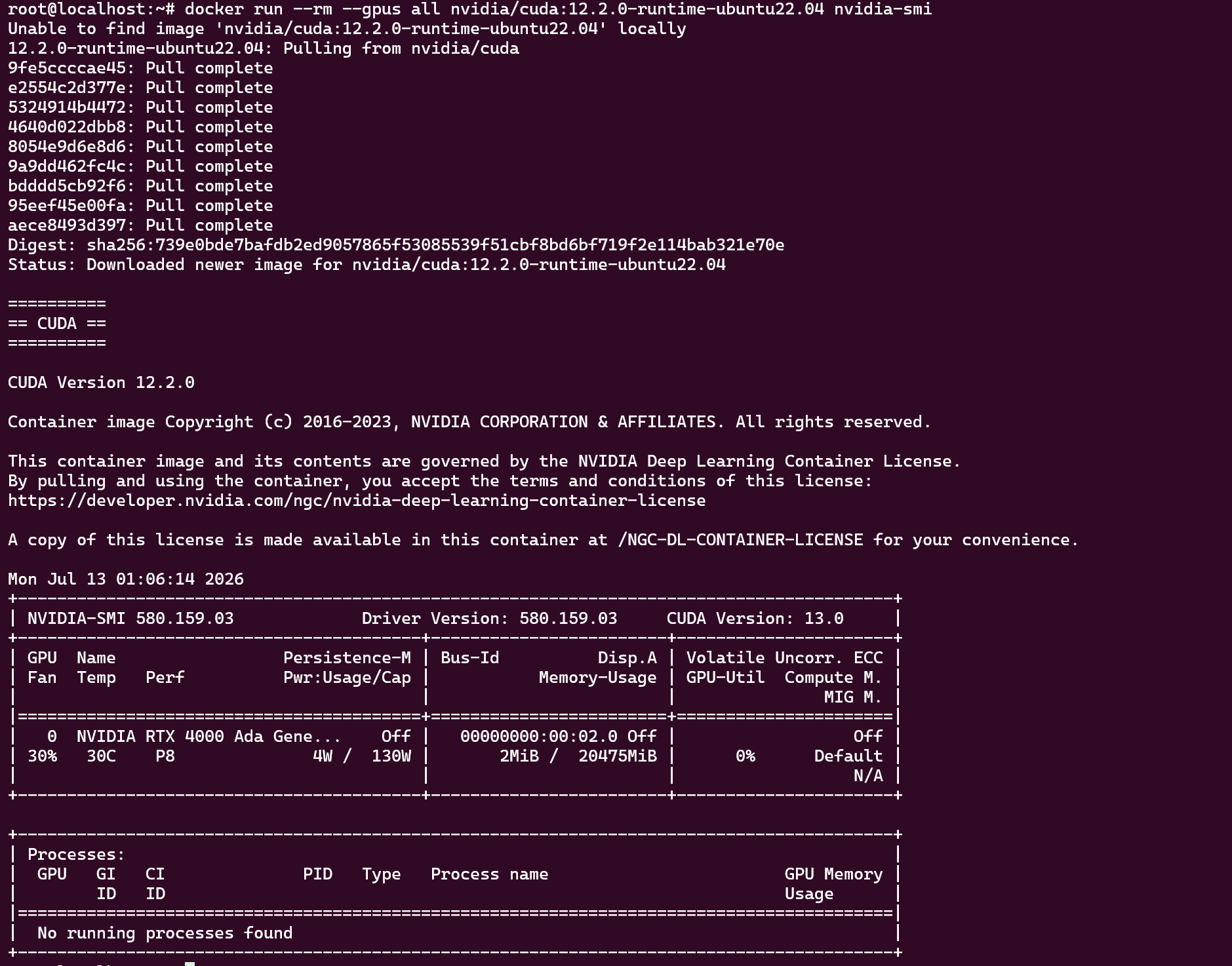 Verificación de acceso a GPU desde Docker